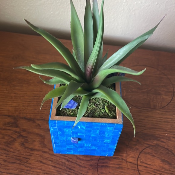 Faux succulent in deep blue dyed shell mosaic cube. - Picture 5 of 9